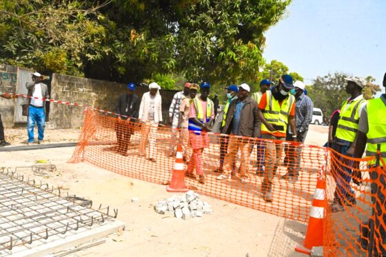 Oussouye : Les Travaux Du PROMOVILLES Exécutés À 13% (Coordonnatrice)